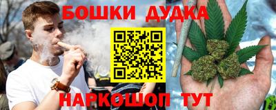 дмт Обь