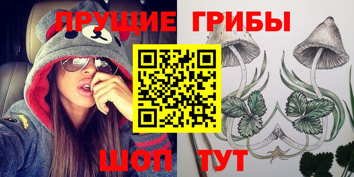 Псилоцибиновые грибы MAGIC MUSHROOMS  Вход с VPN  Ростов Великий 